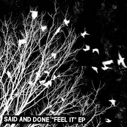 Said And Done : Feel It